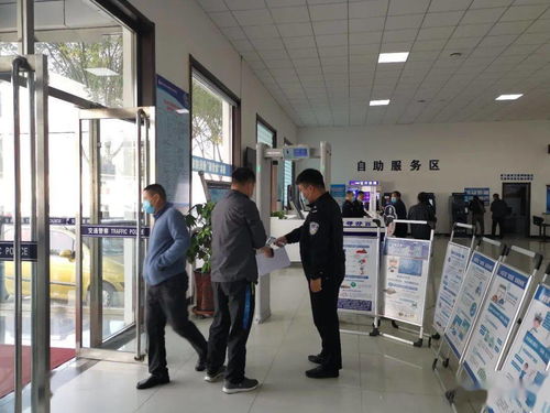 牌达北京车牌代办全流程解析：老司机教你避开这7大坑