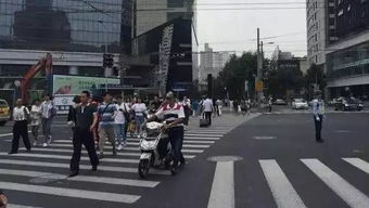 牌达北京车牌出租如何选对靠谱平台？老司机教你避开三大陷阱