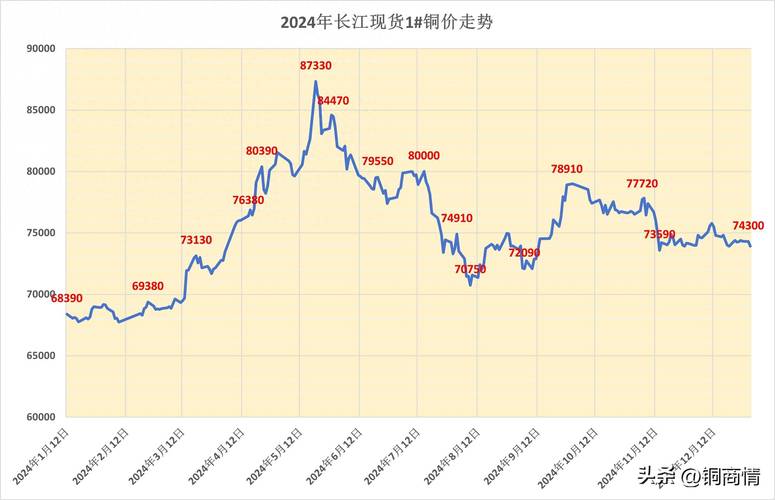 牌达京牌公司户买卖价格2023最新行情：避开这5个坑少花冤枉钱